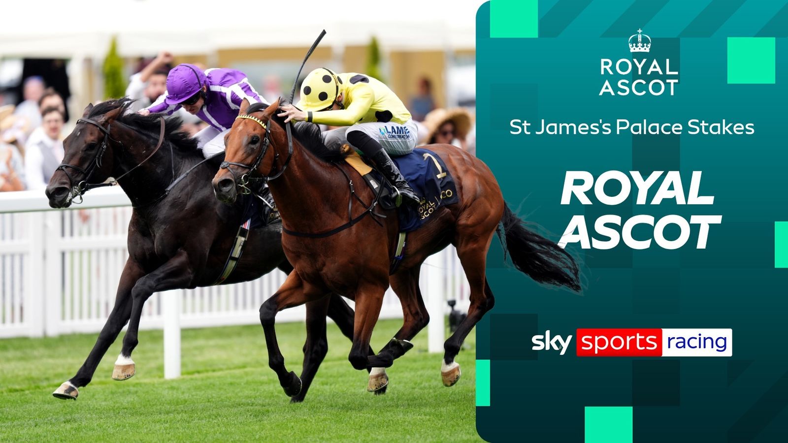 Repetição do Royal Ascot | Bow Echo detém Gstaad em suspense!